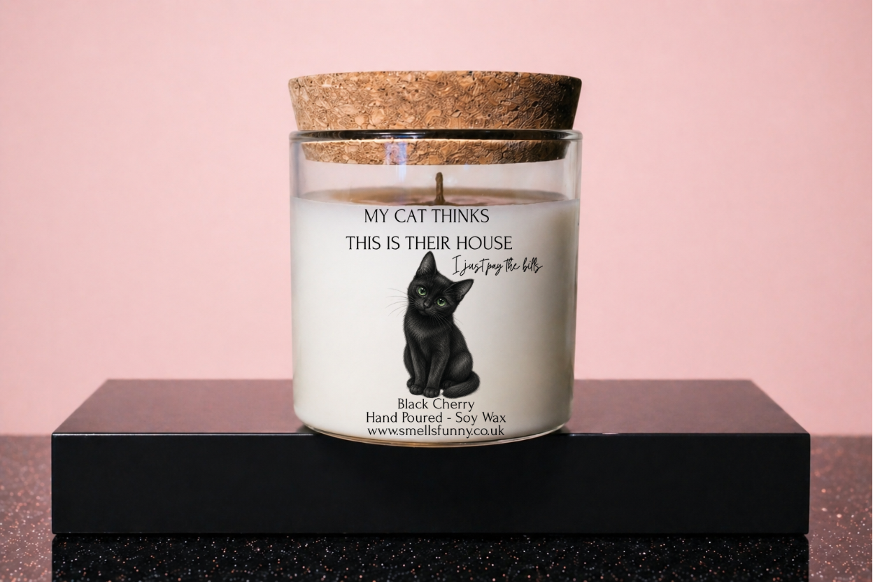 My Cat Thinks This Is Their House - Candle (more options)
